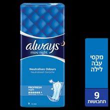 Allways Maxi Night 